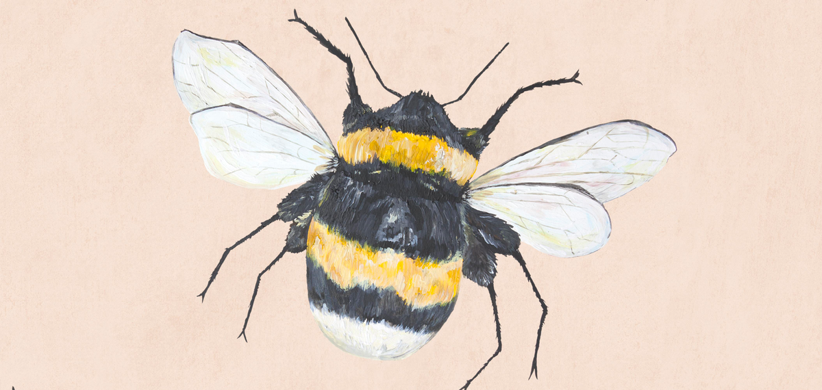 Back By Popular Demand - The Bee!